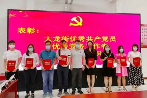 半岛(中国)一站式服务平台集团党支部荣获先进党组织称号、陈文舒党支部书记荣获优秀党