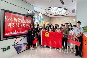 “团”聚青年力量 绽放青春芳华——共青团半岛(中国)一站式服务平台集团团支部委员会