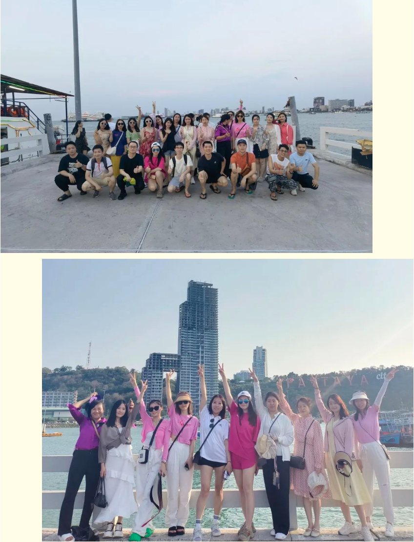 半岛(中国)一站式服务平台集团