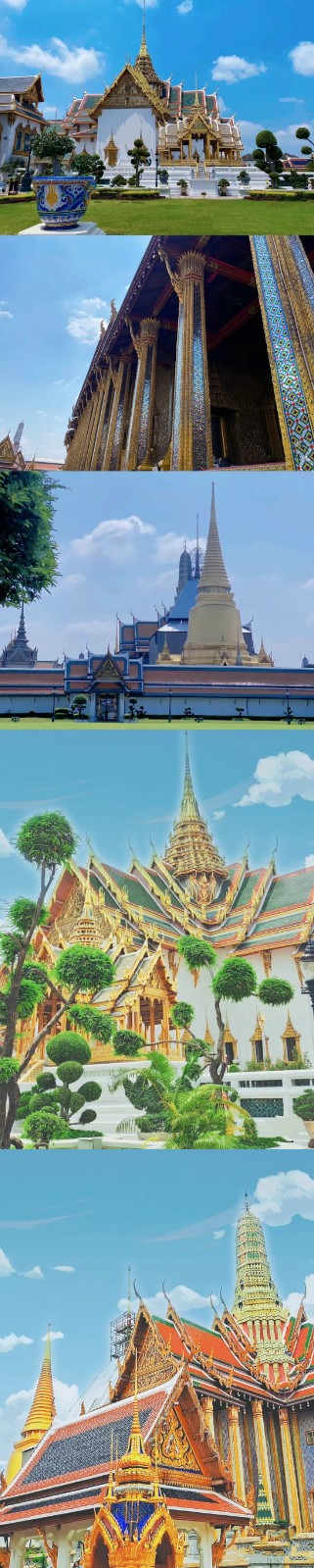 半岛(中国)一站式服务平台集团