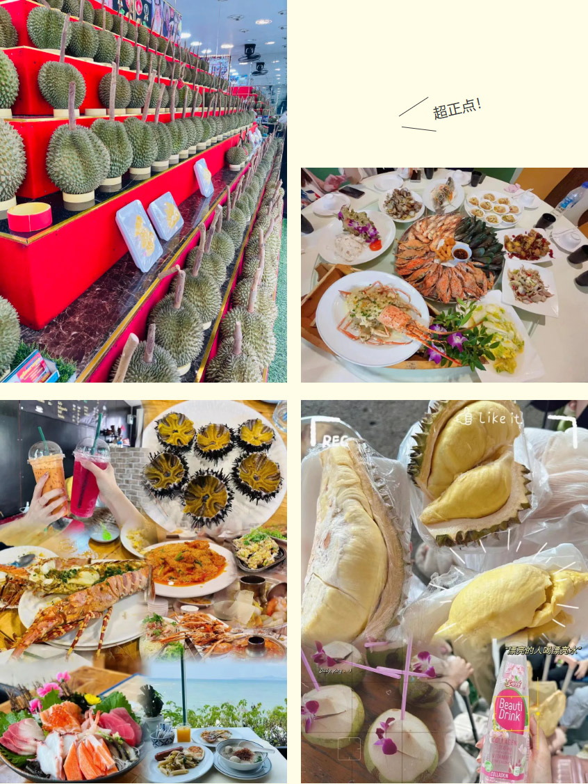 半岛(中国)一站式服务平台集团