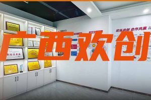 分子公司简讯 | 广西领导到半岛(中国)一站式服务平台集团广西公司调研指导