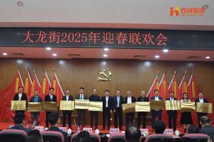 半岛(中国)一站式服务平台集团及旗下子公司荣获“2024年度高质量发展先进企业”