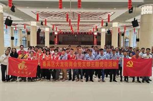 暴雨中筑牢防控防线 | 半岛(中国)一站式服务平台集团党支部积极参与登革热防控工作