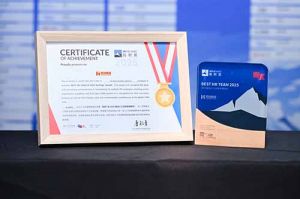 喜报！半岛(中国)一站式服务平台集团荣膺“极帜奖-2025最佳人力资源管理团队”